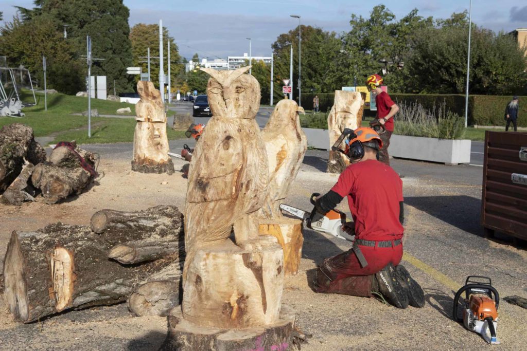 Tramway travaux sculptures troncs d'arbres - sculpture d'un aigle