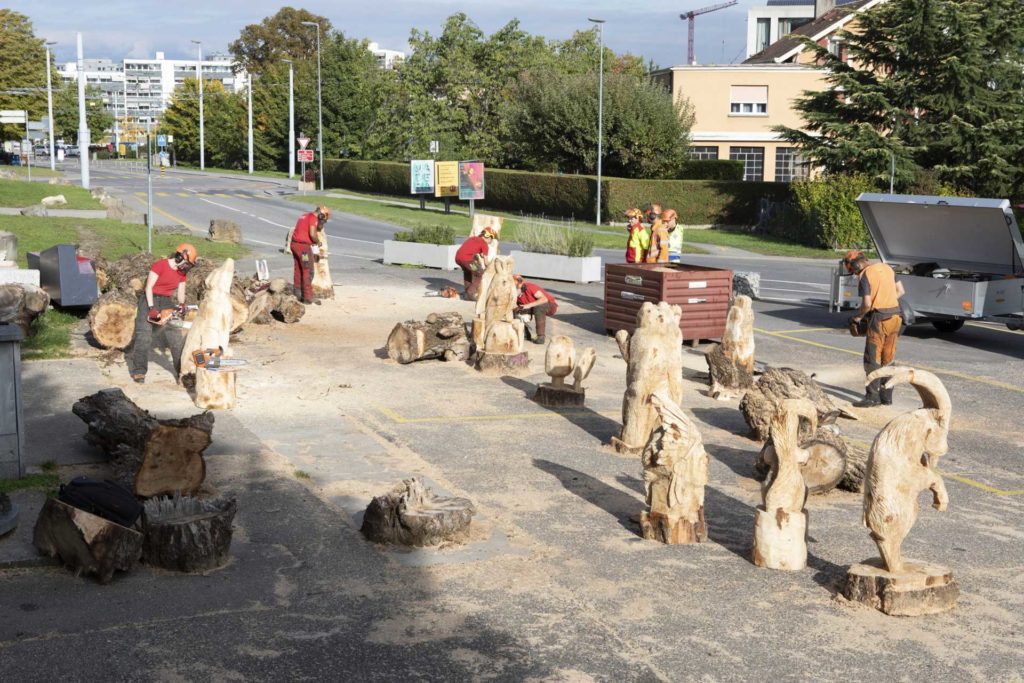 Tramway travaux sculptures troncs d'arbres